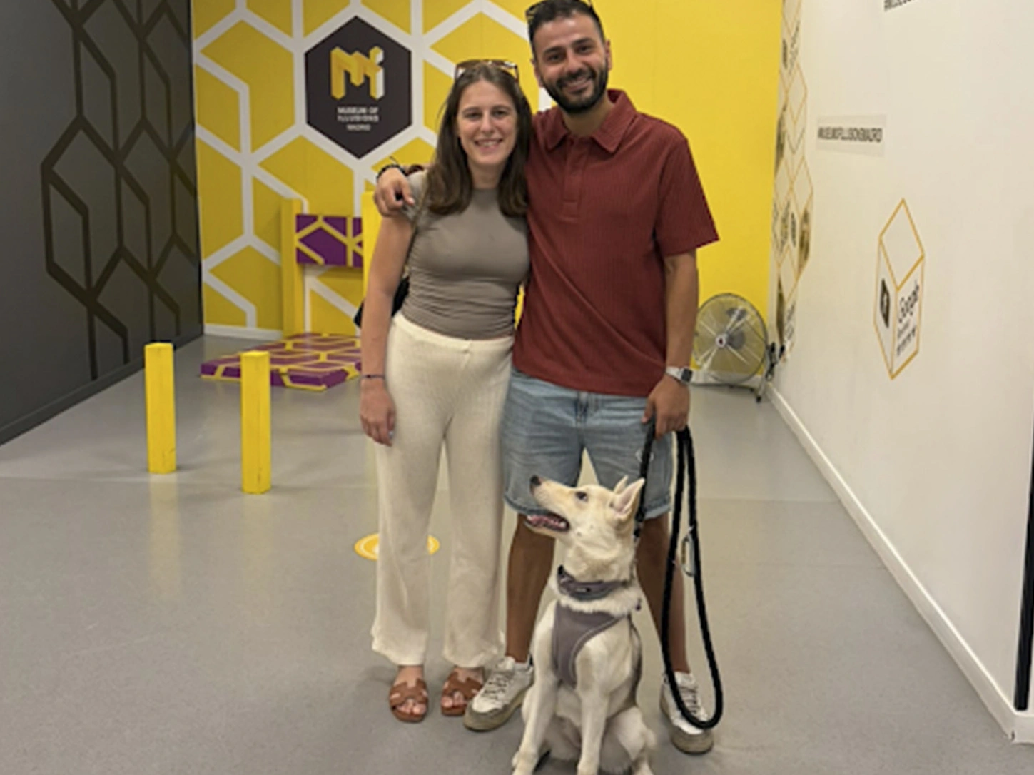 pet friendly plans madrid small