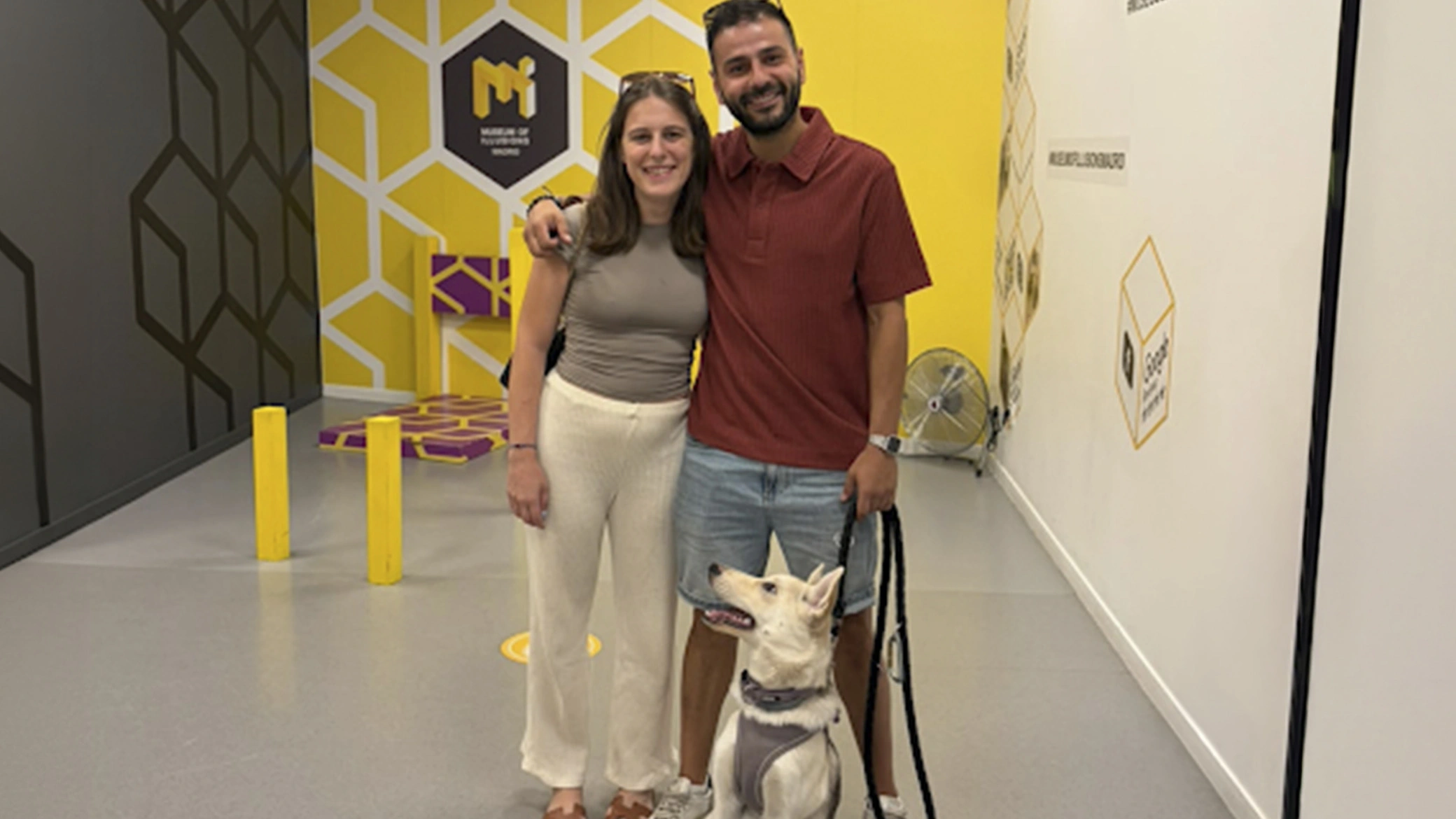 pet friendly plans madrid